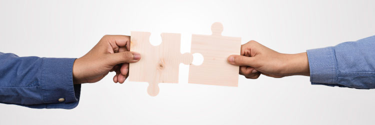 Cadena de valor i sinergies empresarials