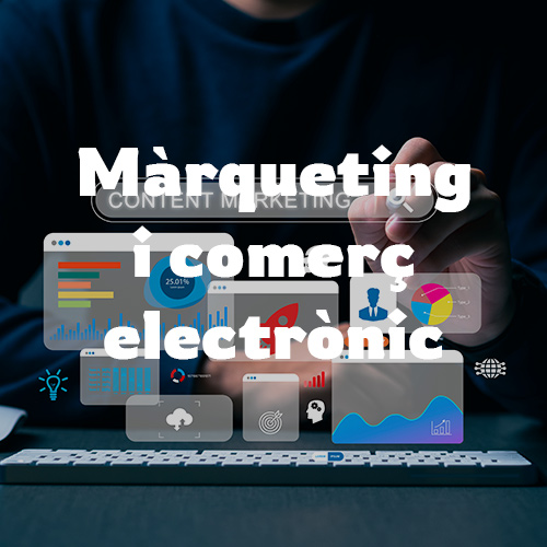 Màrqueting i comerç electrònic
