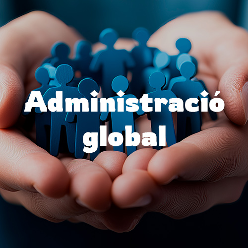 Administració global