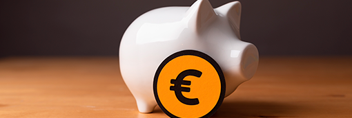 Finançament de projectes self directed