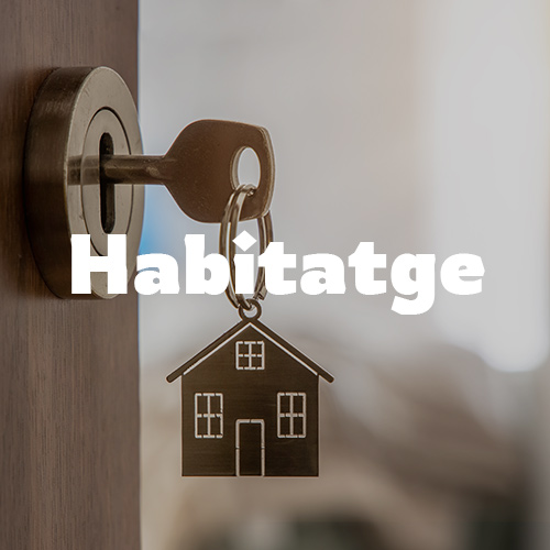 Habitatge